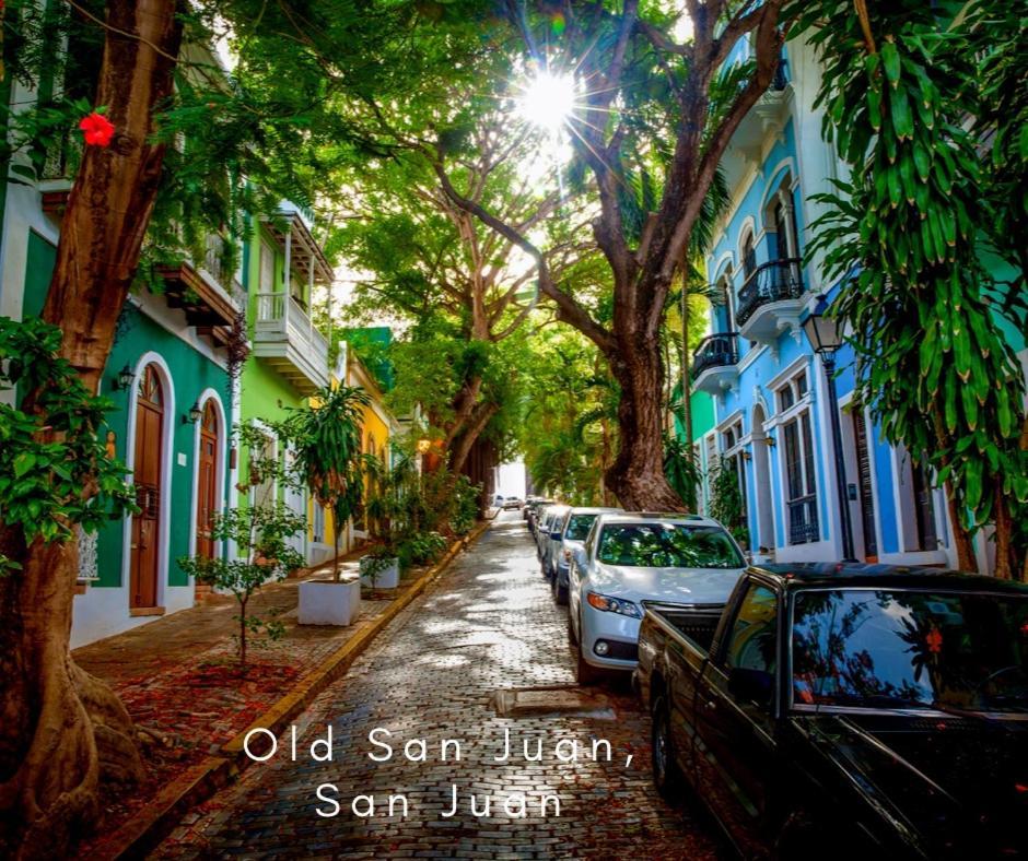 Bee Inn Puerto Rico Charming Urban Apartment In San Juan Exteriör bild